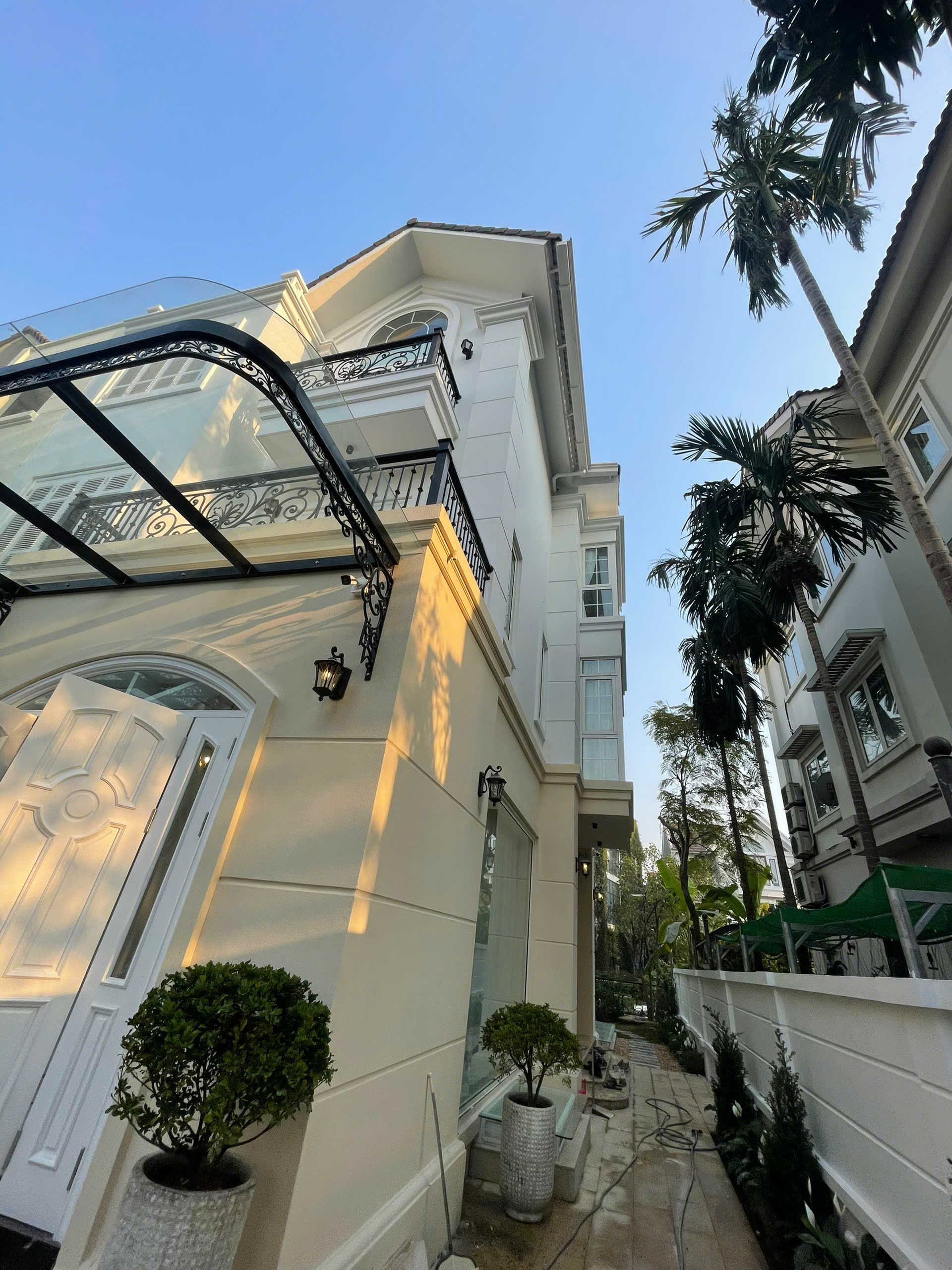 Hoa Sữa 5